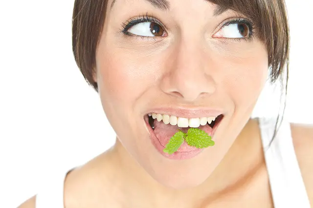 7 remedios naturales para combatir el mal aliento 1 Curar el mal aliento con Menta