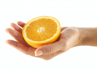 alimentos antioxidantes