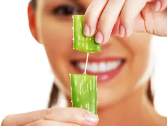 Los estupendos beneficios del aloe vera para las arrugas « Los estupendos beneficios del aloe vera para las arrugas